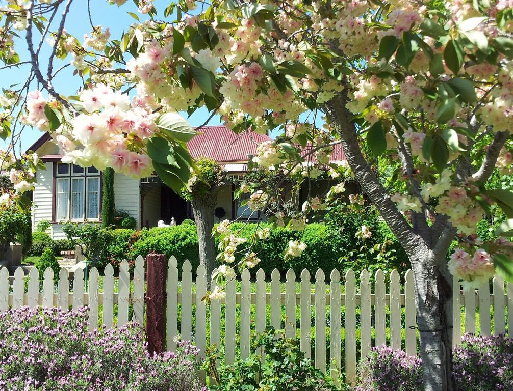 Barnsley House Bed And Breakfast Beechworth Kültér fotó